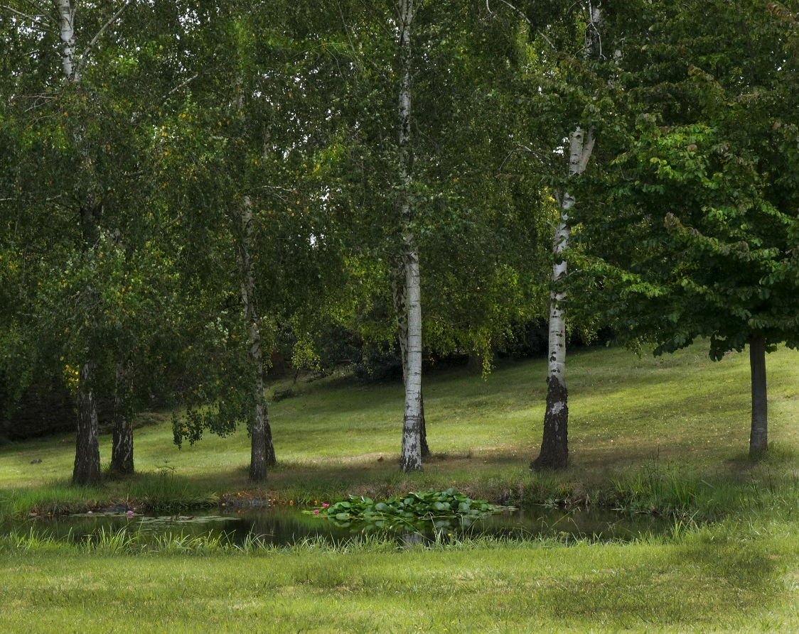 Casa de campo en cantabria