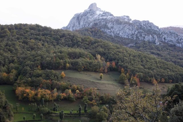 Casa de Campo en Liébana II
